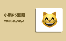 小鹏P5濮阳车友群_小鹏g3i和p5哪个性价比高