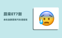 蔚来ET7新余车友群_蔚来汽车语音怎么呼叫
