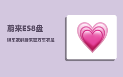 蔚来ES8盘锦车友群_蔚来官方车衣是什么牌子的