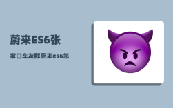 蔚来ES6张家口车友群_蔚来es6怎么关门