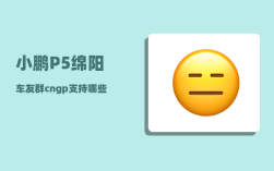 小鹏P5绵阳车友群_cngp支持哪些城市