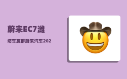 蔚来EC7潍坊车友群_蔚来汽车2022年12月份销量怎么样