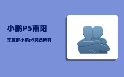 小鹏P5南阳车友群_小鹏p5突然所有故障灯亮起来怎么办