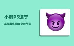 小鹏P5遂宁车友群_小鹏p5突然所有故障灯亮起来怎么办