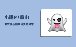 小鹏P7黄山车友群_小鹏车载麦克风怎么连接