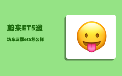 蔚来ET5潍坊车友群_et5怎么样