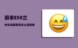 蔚来ES8兰州车友群_蔚来怎么语音唤醒