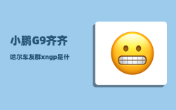 小鹏G9齐齐哈尔车友群_xngp是什么