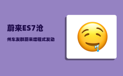 蔚来ES7沧州车友群_蔚来增程式发动机