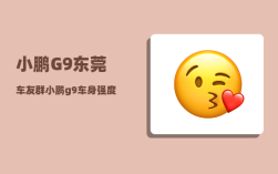 小鹏G9东莞车友群_小鹏g9车身强度
