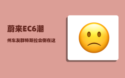 蔚来EC6潮州车友群_特斯拉会倒在这次刹车门之后吗