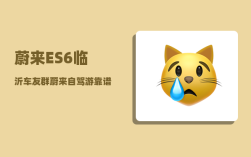 蔚来ES6临沂车友群_蔚来自驾游靠谱吗