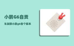 小鹏G6自贡车友群_小鹏g6各个版本配置