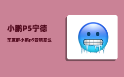 小鹏P5宁德车友群_小鹏p52023款智行版有些什么功能
