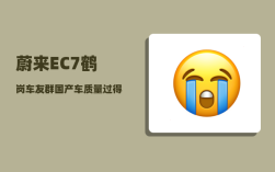 蔚来EC7鹤岗车友群_国产车质量过得去的有影响力的是否就这五款