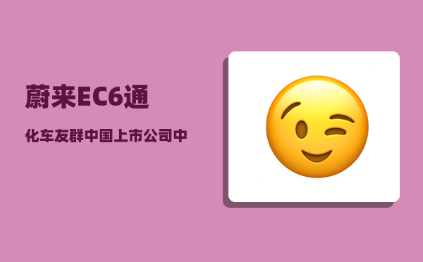 蔚来EC6通化车友群_中国上市公司中有哪些隐形冠军-图1
