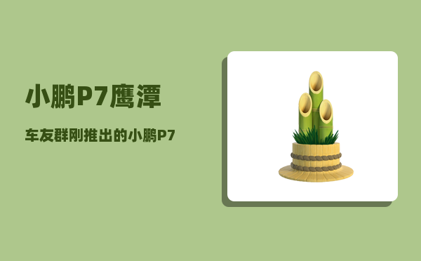 小鹏P7鹰潭车友群_刚推出的小鹏P7有哪些功能-图1