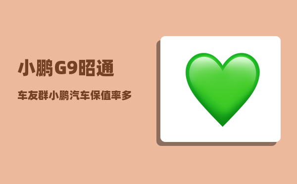 小鹏G9昭通车友群_小鹏汽车保值率多少-图1
