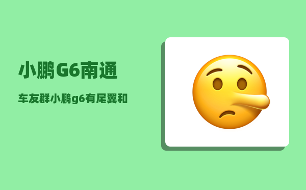 小鹏G6南通车友群_小鹏g6有尾翼和没有尾翼区别-图1