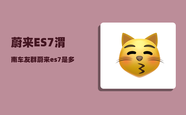 蔚来ES7渭南车友群_蔚来es7是多少伏-图1