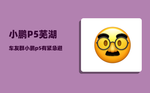 小鹏P5芜湖车友群_小鹏p5有紧急避让功能吗-图1