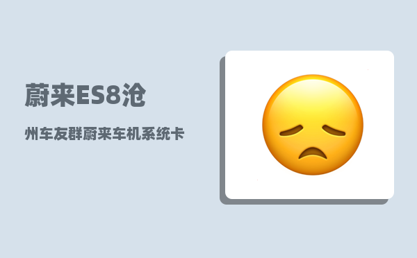 蔚来ES8沧州车友群_蔚来车机系统卡怎么办-图1