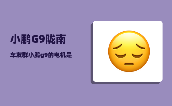 小鹏G9陇南车友群_小鹏g9的电机是哪家的-图1