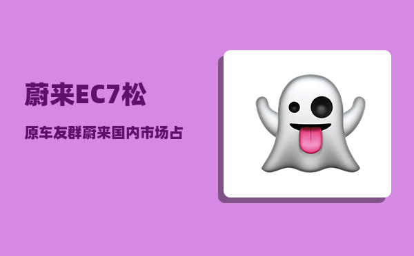 蔚来EC7松原车友群_蔚来国内市场占有率多少-图1