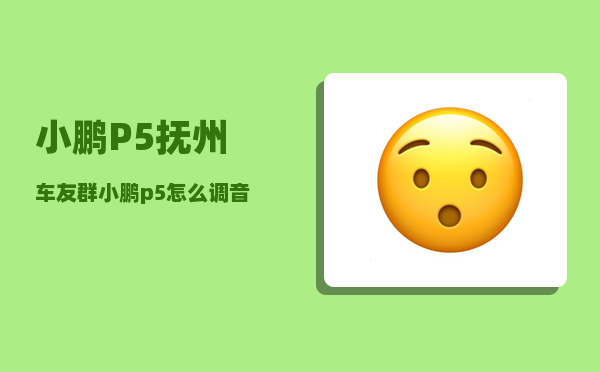 小鹏P5抚州车友群_小鹏p5怎么调音乐音效-图1
