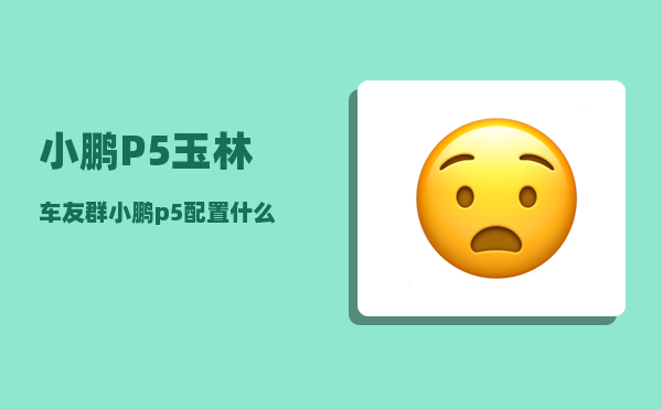 小鹏P5玉林车友群_小鹏p5配置什么音响-图1