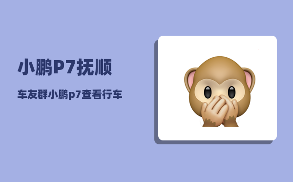 小鹏P7抚顺车友群_小鹏p7查看行车轨迹-图1