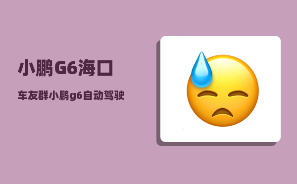小鹏G6海口车友群_小鹏g6有必要上max版本吗-图1