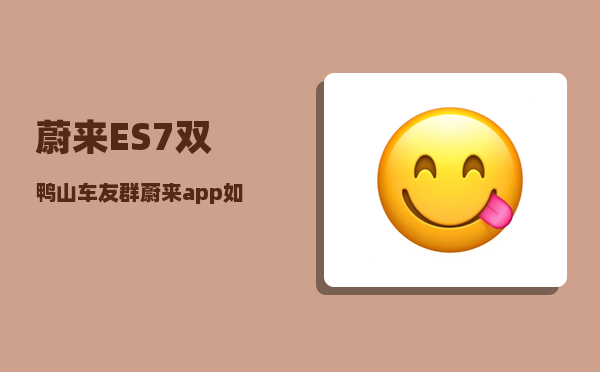 蔚来ES7双鸭山车友群_蔚来app如何查看行车轨迹-图1