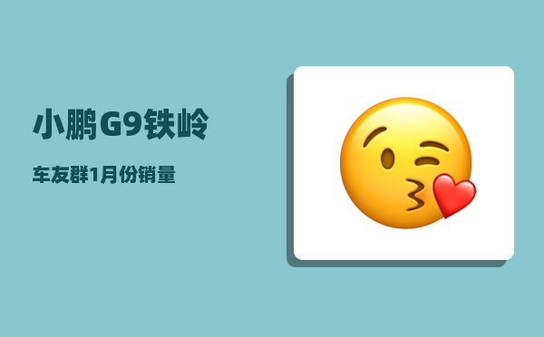 小鹏G9铁岭车友群_1月份销量-图1