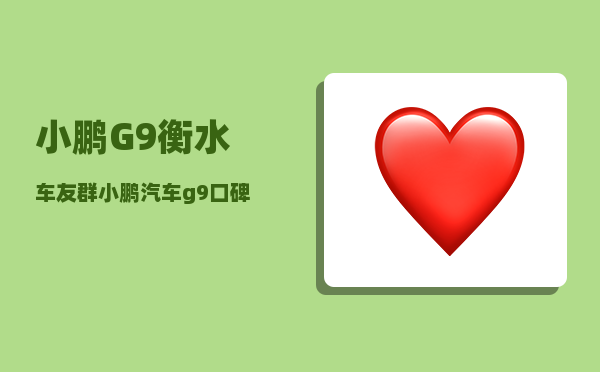 小鹏G9衡水车友群_小鹏汽车g9口碑质量-图1