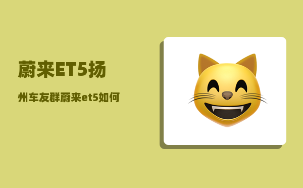 蔚来ET5扬州车友群_蔚来et5如何开启后排空调-图1