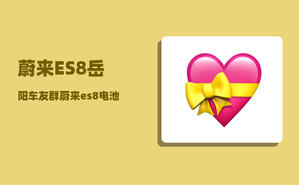 蔚来ES8岳阳车友群_蔚来es8电池哪家的-图1