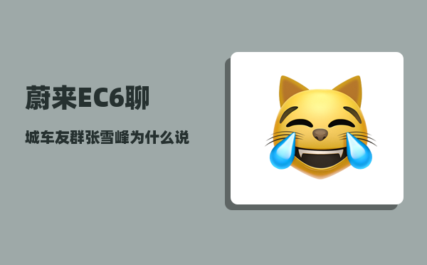 蔚来EC6聊城车友群_张雪峰为什么说自己是山东人-图1