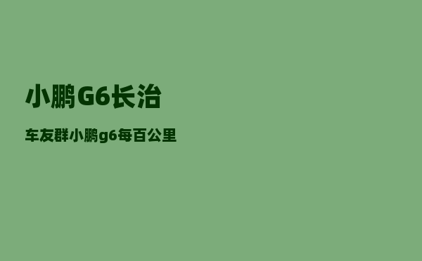 小鹏G6长治车友群_小鹏g6每百公里电耗-图1