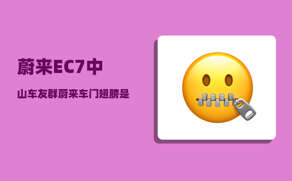 蔚来EC7中山车友群_蔚来车门翅膀是哪款-图1