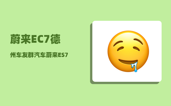 蔚来EC7德州车友群_汽车蔚来ES7有多大马力-图1