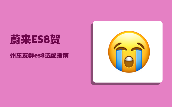 蔚来ES8贺州车友群_es8选配指南-图1