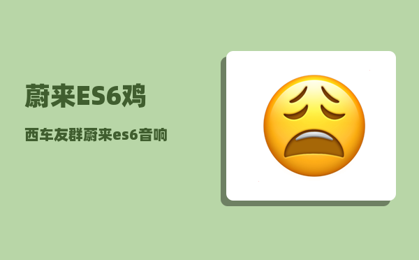 蔚来ES6鸡西车友群_蔚来es6音响均衡器调节参数-图1
