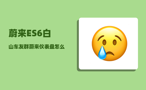 蔚来ES6白山车友群_蔚来仪表盘怎么调整-图1