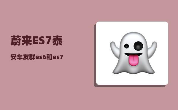蔚来ES7泰安车友群_es6和es7怎么选-图1