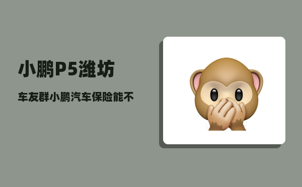 小鹏P5潍坊车友群_小鹏汽车保险能不能在外面买-图1