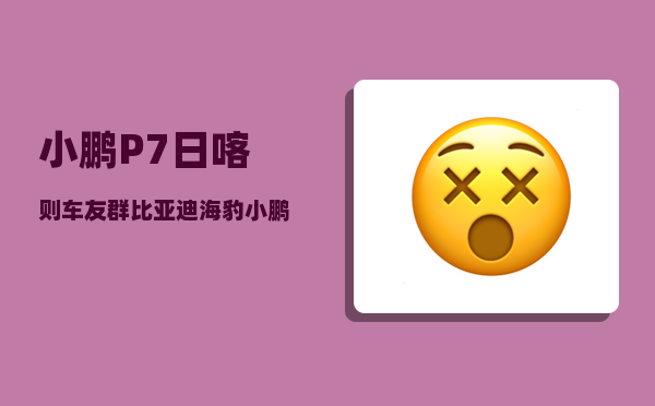 小鹏P7日喀则车友群_比亚迪海豹小鹏P7不好吗-图1