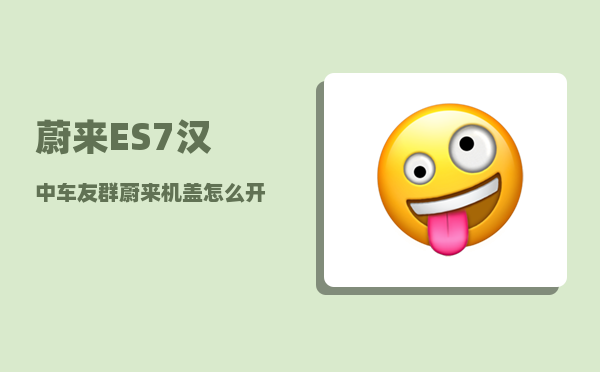 蔚来ES7汉中车友群_蔚来机盖怎么开-图1