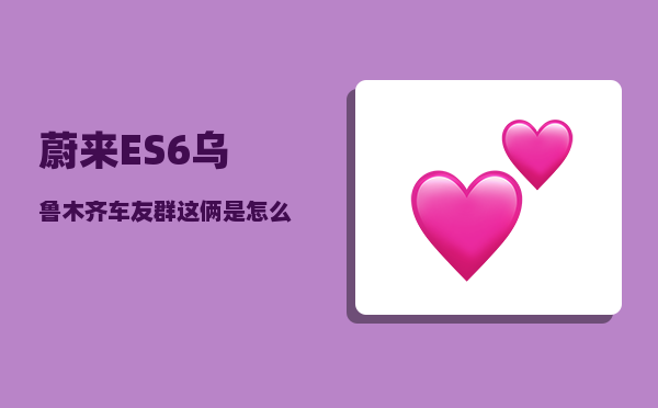 蔚来ES6乌鲁木齐车友群_这俩是怎么打到一起的-图1