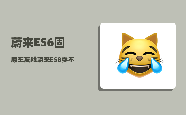 蔚来ES6固原车友群_蔚来ES8卖不动了吗-图1